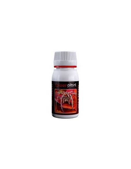 Agrobacterias - Spider Plant (ex Spider Killer) - 60ml - Contro Ragno Rosso