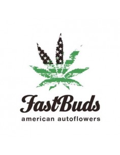Fast Buds - Gorilla Glue Auto - 1 Seme 2