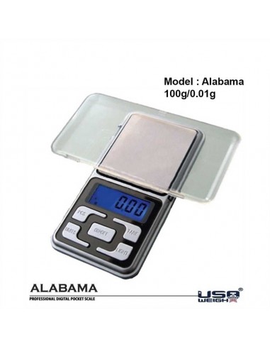 Alabama Digital Scale - Bilancia Professinale - 0.01g / 100g bilancia di  precisione pile incluse