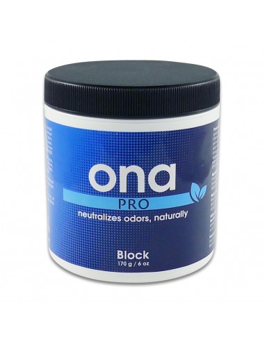 ONA - Block Polar Crystal - Elimina Odori - 170g