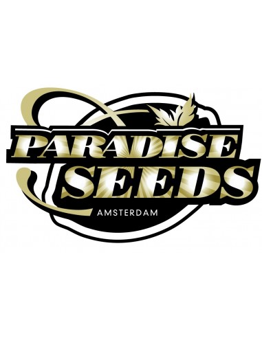 Paradise Seeds - Durga Mata - 5 Semi Femm