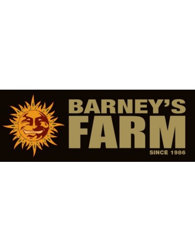 Barney's Farm - Triple Cheese - 5 Semi Femm
