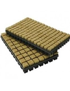 Grodan - Lana di Roccia - Vassoio di Cubetti - 77 pezzi