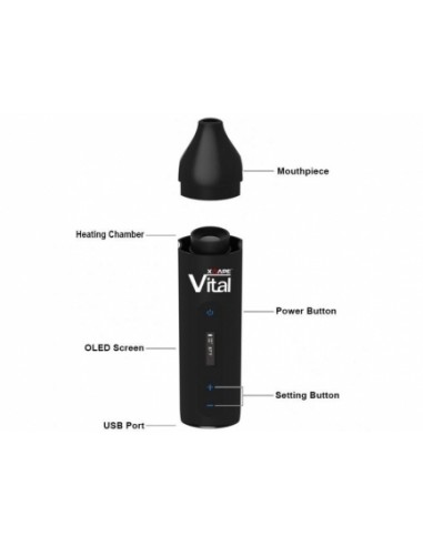 XMAX Vital - Vaporizzatore - Black Leaf