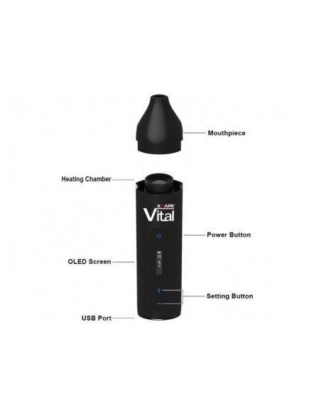 XMAX Vital - Vaporizzatore - Black Leaf