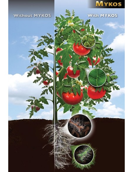 Xtreme Gardening - Mykos - Micorrize - 1 Kg