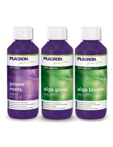 Plagron - Starter Set Alga - Kit Completo