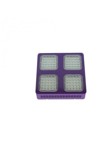 CULTILITE LED 300W