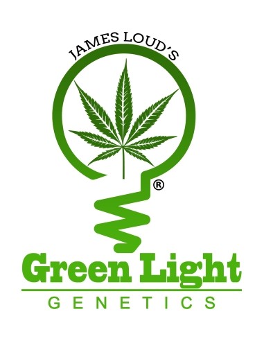 Green Light Genetics - Dancing Bear - 5 Semi Auto