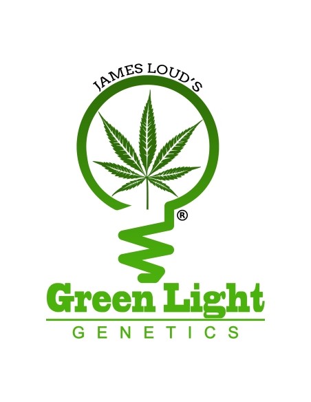 Green Light Genetics - Frosty - 100 Semi Auto