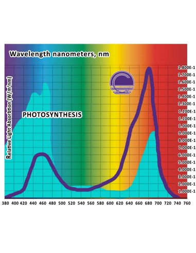 Cultilite Led - Antares 360W Cob Line - Agro - Con Swich Grow, Full Spectrum