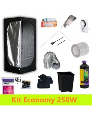 Kit Economy - Terra - Box 80x80x160 - Basso Consumo 250W