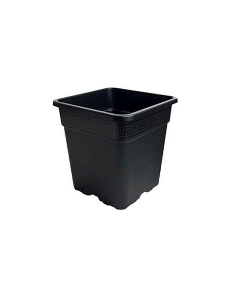 Kit Economy - Box 120x120x200 - Lampada 600w Hps per coltivazione indoor