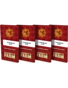 Barney's Farm - LSD Auto - 1 Seme 2