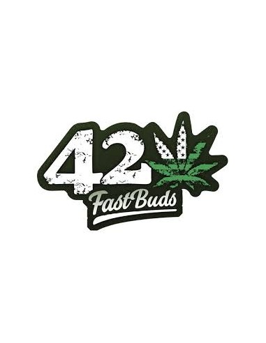Fast Buds - LSD-25 Auto