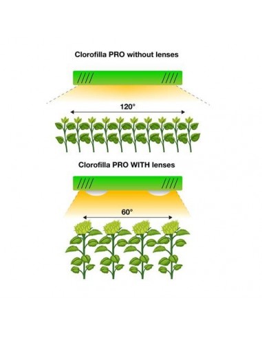 Phytolite - Lampada Led Clorofilla Cree 3070 80 - Clorofilla Pro