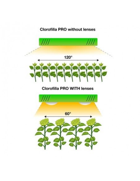 Phytolite - Lampada Led Clorofilla Cree 3070 80 - Clorofilla Pro