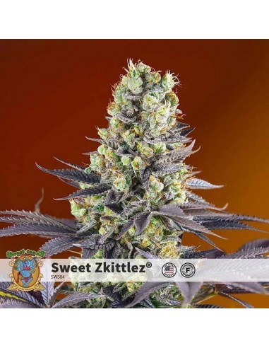 Sweet Seeds - Sweet Zenzation Femminizzata - 3 Semi + 1 Gratis