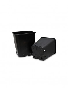 Vaso per Germinazione - 7X7X8cm - 0.35L