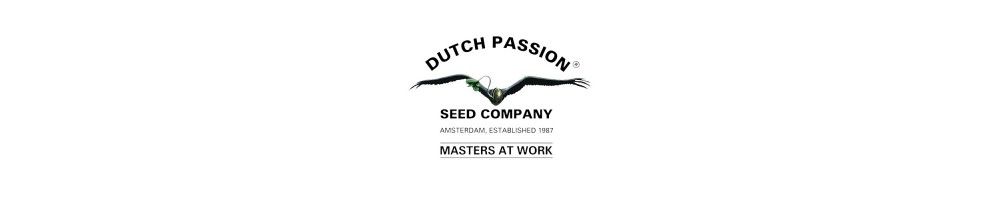 Dutch Passion - Seed Company