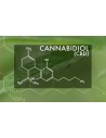 CBD - Fiori di Cannabis