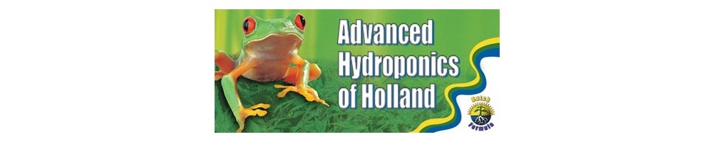 Advanced Hydroponics of holland