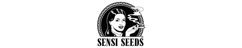 Sensi Seeds Auto
