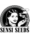 Sensi Seeds Auto