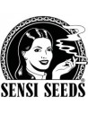 Sensi Seeds Automatic