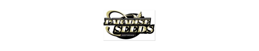 Paradise Seeds è una seed bank olandese, una delle prime e più famose, semi femminizzati di cannabis da collezione.