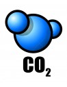 Anidride Carbonica CO2