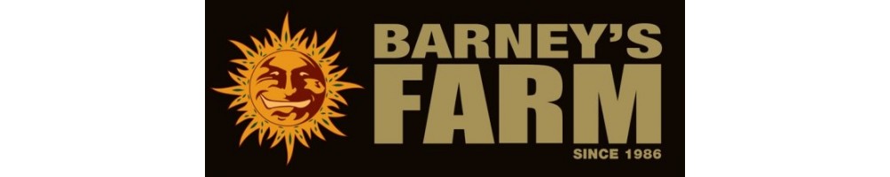Barney's Farm produce semi di cannabis dal 1986, 40 vincitori di cannabis cup