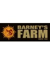Barney's Farm Femminizzati