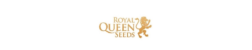 Royal Queen Seeds Ampio Catalogo di Semi Femminizzati, Autofiorenti e per Uso Medico.