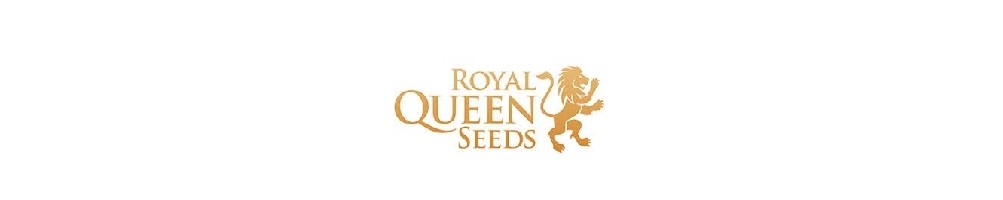 Royal Queen Seeds Ampio Catalogo di Semi Femminizzati, Autofiorenti e per Uso Medico. 
