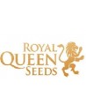 Royal Queen Seeds Fem