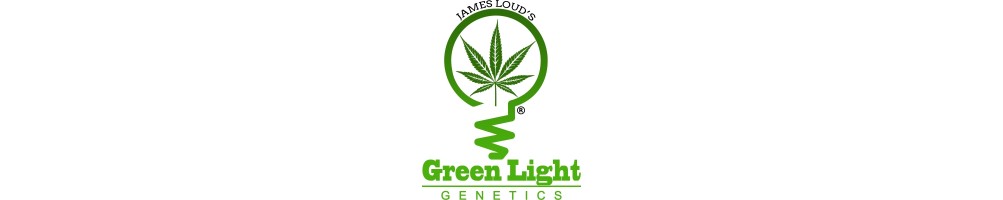 Semi di cannabis autofiorenti, dagli USA, California. Genetice selezionalte da James Loud, famoso breeder di San Francisco
