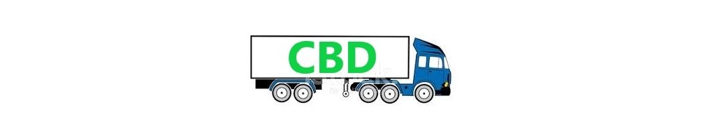 Semi di cannabis ad alto contenuto di CBD