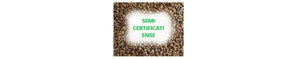 Semi certificati ENSE, con cartellino, iscritti all'elenco erupeo delle semente di canapa coltivabili.