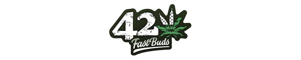 Semi di cannabis autofiorenti americane Fast Buds, il famoso banco di semi californiani, di alta qualità