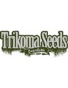 Trikoma Seeds Auto