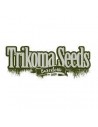 Trikoma Seeds Fem