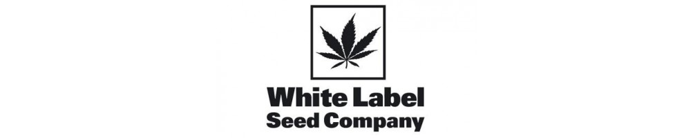 White Label Auto