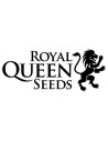 Royal Queen Seeds - Auto