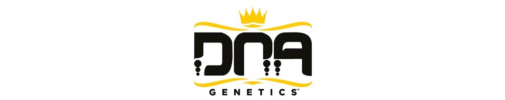 DNA Genetics - Acquista Semi di Marijuana THC - Collezionismo