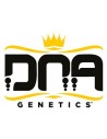DNA Genetics Fem