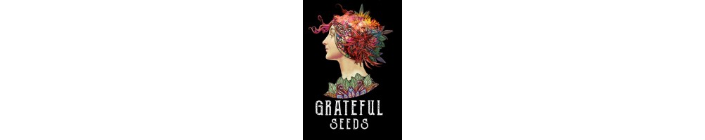 The Grateful Seeds