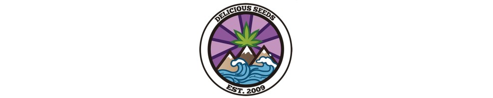 Delicious Seeds - Fem