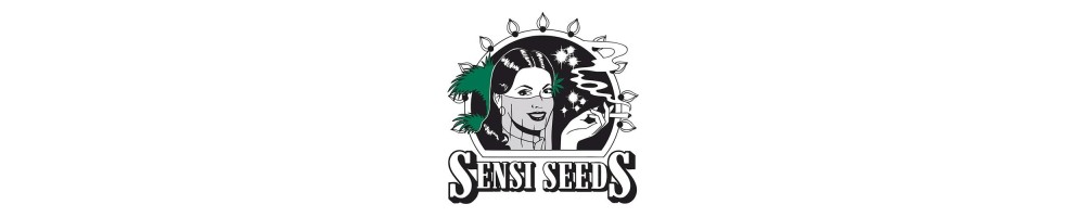 Sensi seeds - Semi da collezione Regolari