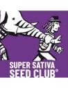 Super Sativa Seed Club Regolari